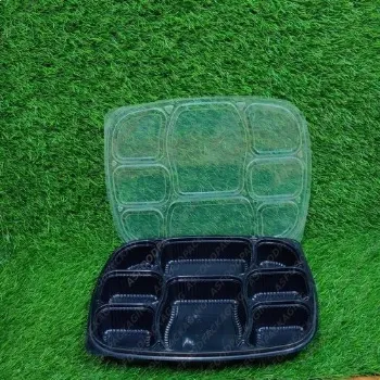  Disposable Food Tray